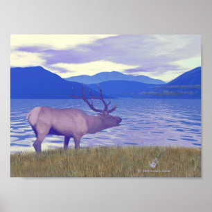 Poster Wapiti (Elk) Pelo Lago