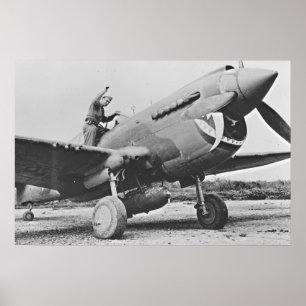 Pôster Warhawk P40 1943