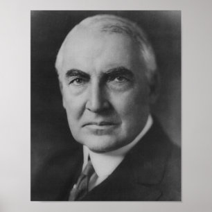 Pôster Warren G. Harding 29º Presidente