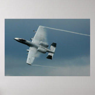Pôster Warthog