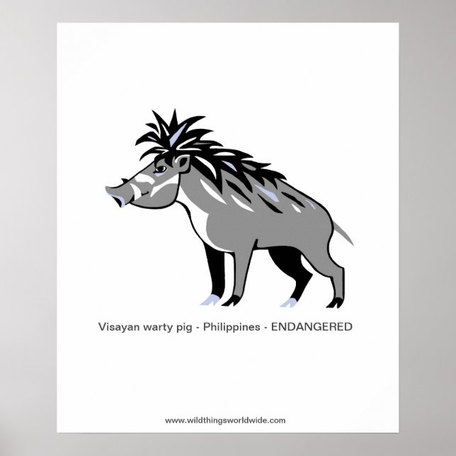 Poster Warthog - Warty PIG - Animais ameaçados - animais  (Frente)
