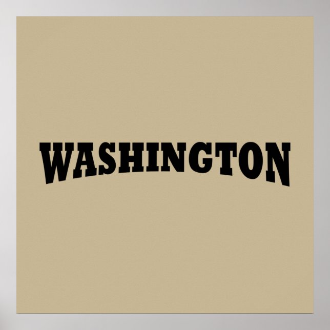 Poster washington dc (Frente)