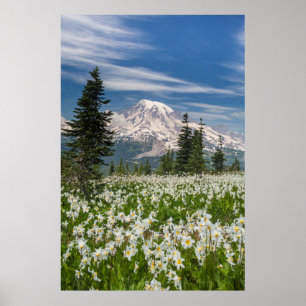 Poster Washington, Parque Nacional Mount Rainier 1