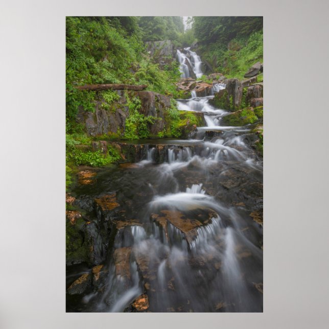 Poster Washington, Parque Nacional Mount Rainier 2 (Frente)