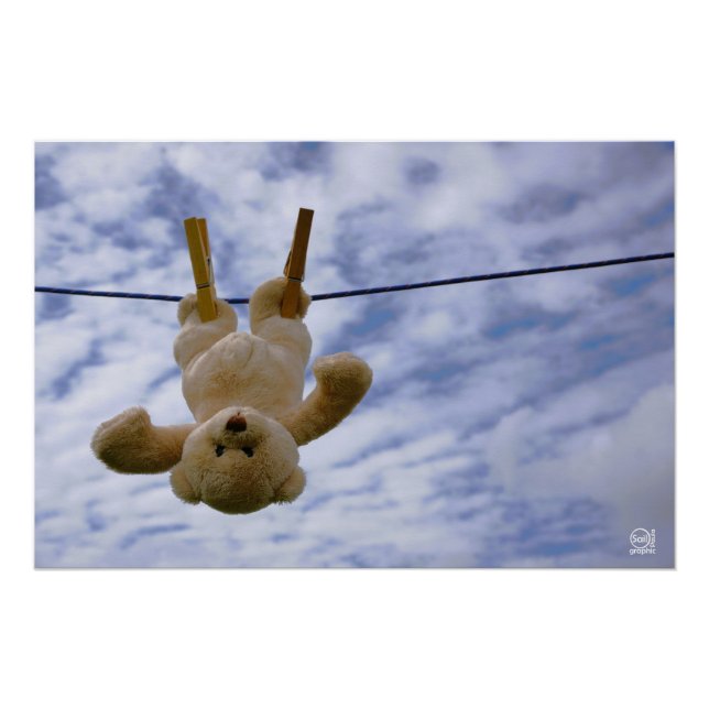 Pôster Waslijn met Funny beer die hangt te drogen. (Frente)