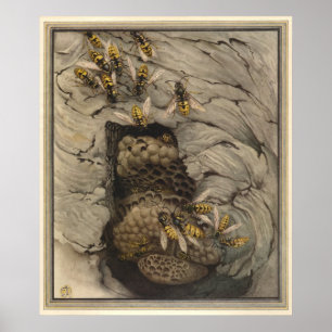 Poster WASPS COMUNS - Ilustração do Livro de Insetos