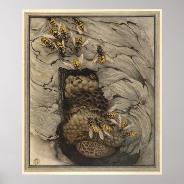 Poster WASPS COMUNS - Ilustração do Livro de Insetos (Frente)