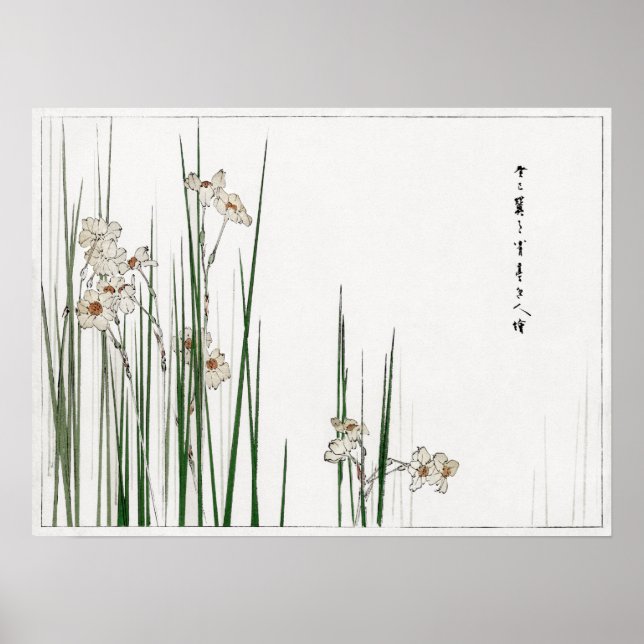 Poster Watanabe Seitei Jonquil Ilustração de Bijutsu (Frente)