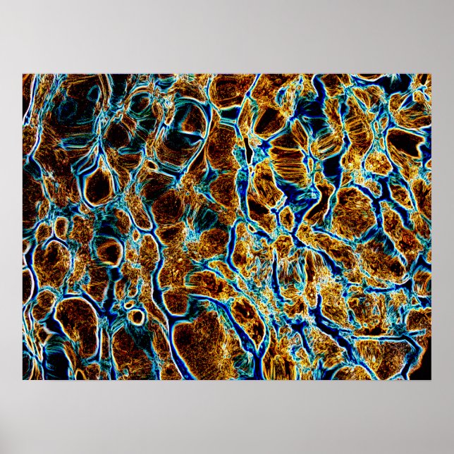 PÔSTER WATER (Frente)