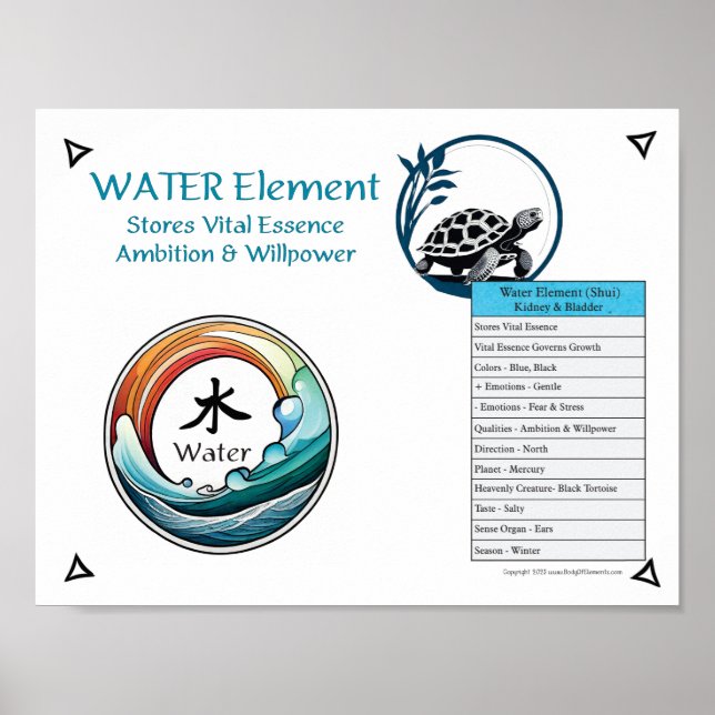 Poster Water Element Acupuncture (Frente)