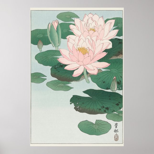 Poster Water Lily (Frente)