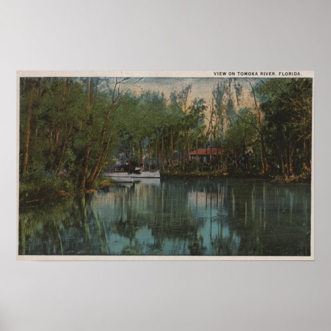 Poster Water View of Tomoka River & Marsh, Flórida (Frente)