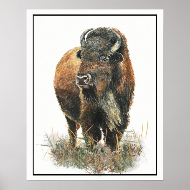 Pôster Watercolor Bison Buffalo Animal Nature Art (Frente)