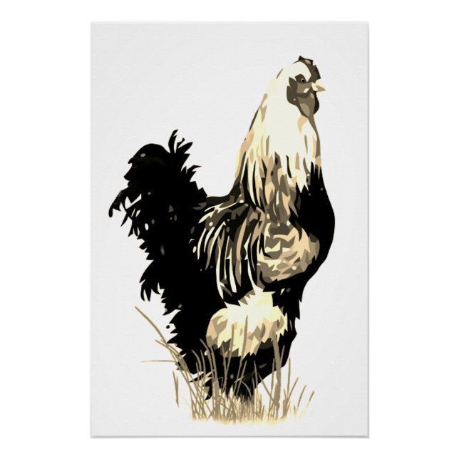 Pôster Watercolor Black White Rooster Chicken Farm Bird (Frente)