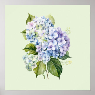 Poster Watercolor Botanical Floral Hydrangea