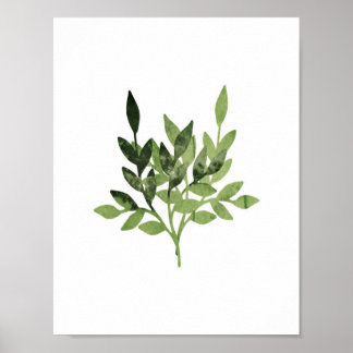 Pôster Watercolor Botanical Print