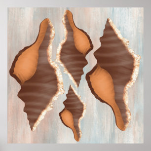 Poster Watercolor Conch Seashell