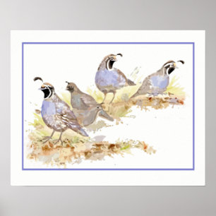 Pôster Watercolor Covey, das Aves da Califórnia à Colheit