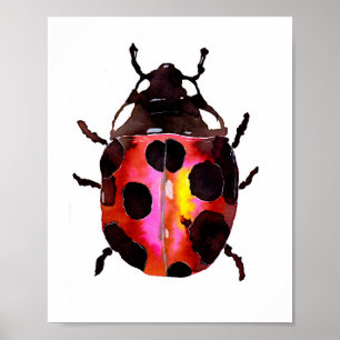 Poster Watercolor Ladybug