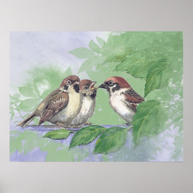 Poster Watercolor Mother Sparrow Feeding Chicks (Frente)