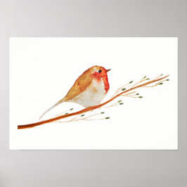 Poster Watercolor Robin Bird