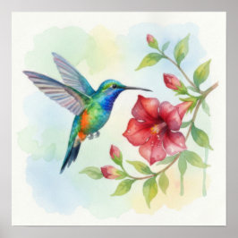 Poster Watercolor Small Hummingbird