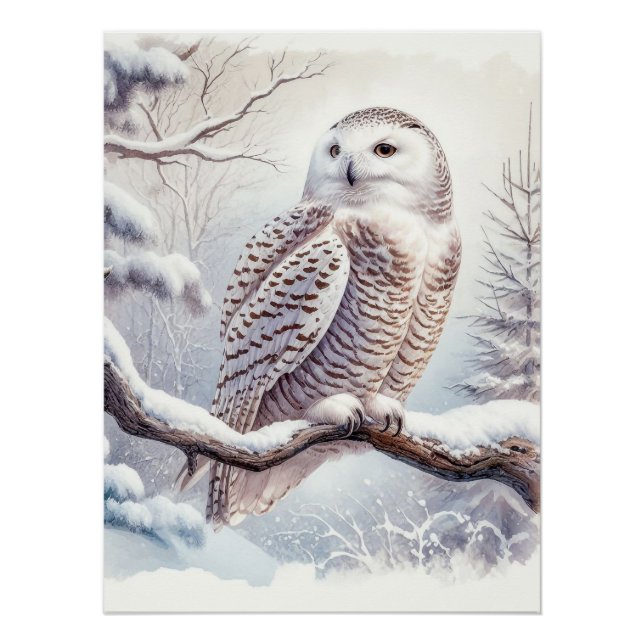 Pôster Watercolor Snowy Owl (Frente)