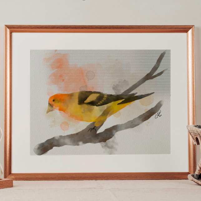 Poster Watercolor Western Tanager Yellow Bird Branch (Criador carregado)