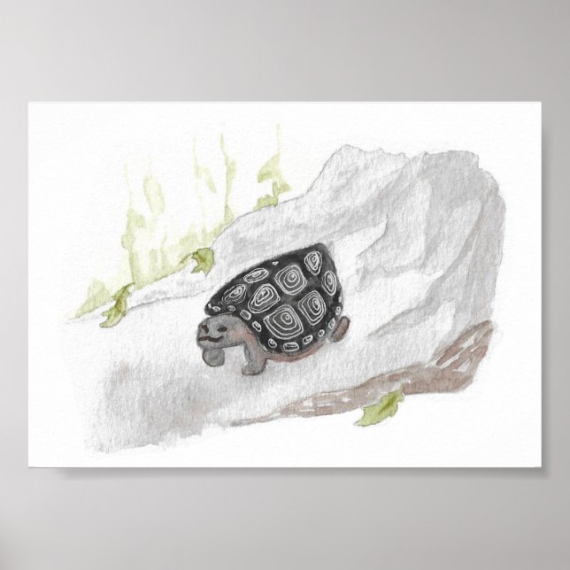 Poster Watercolor Wildlife Nature Forest Turtle (Frente)