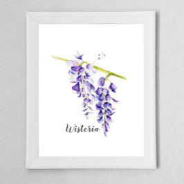 Poster Watercolor Wisteria Botanical