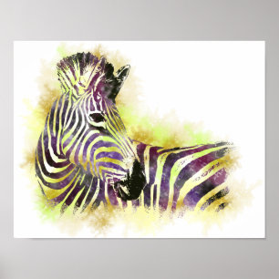 Pôster Watercolor Zeba