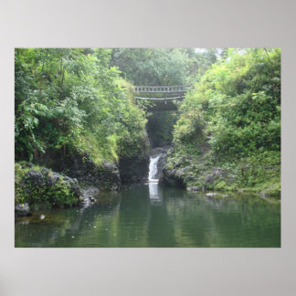 Pôster Waterfall under Bridge