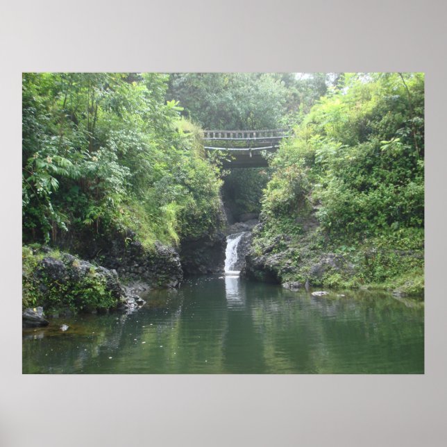 Pôster Waterfall under Bridge (Frente)