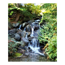 Waterfall Van Dusen Jardim Botânico Vancouver