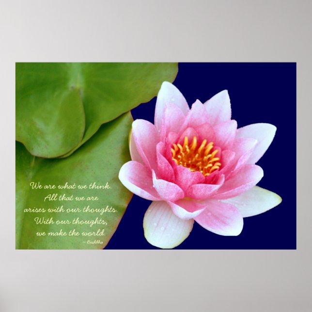 Poster Waterlily Rosa Com Citação Buda (Frente)