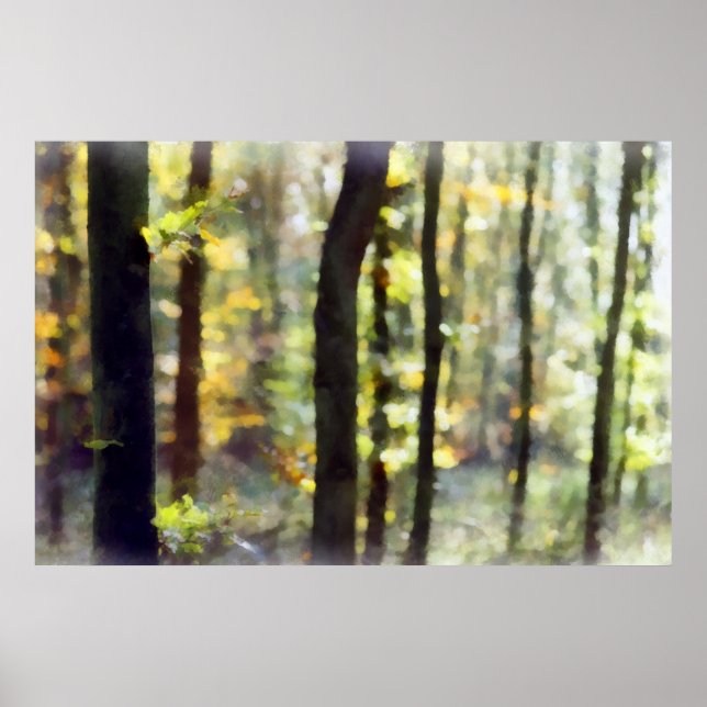 Pôster Watery Woods (Frente)