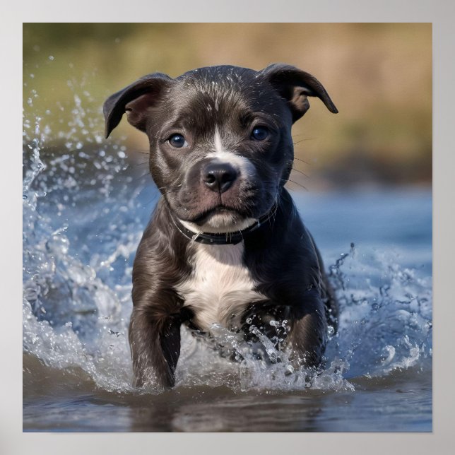 Poster "Wave Chaser: Um Cachorro Espantoso no Jogo no Oce (Frente)
