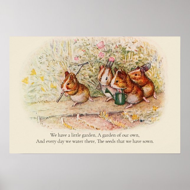 Poster We Have A Little Garden - Guinea Pig Poem (Frente)