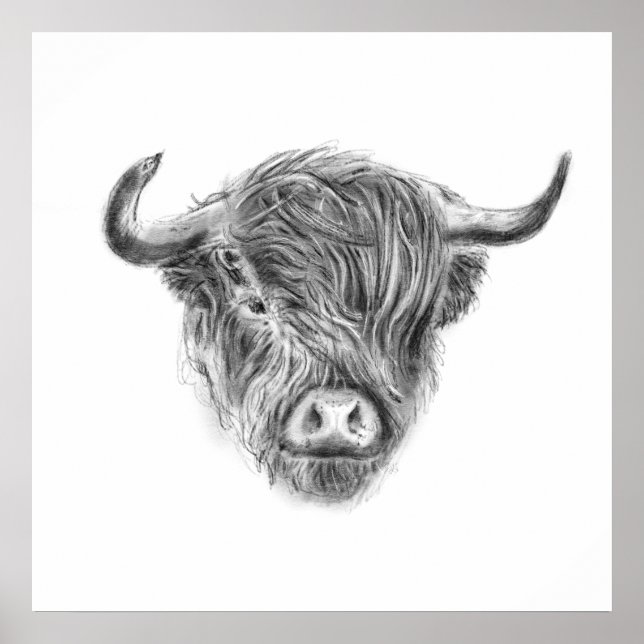 Poster Weaggly Highland Cow (Frente)