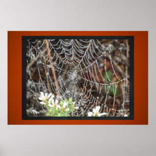 Pôster Web de aranha