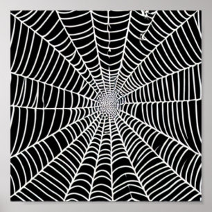 Poster Web Spider