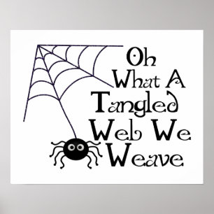 Pôster Web spider Tangled