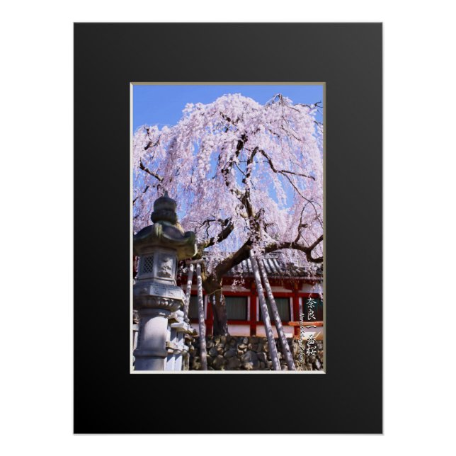 Pôster Weeping cherry tree ("Nara Ichiban-Zakura") (Frente)