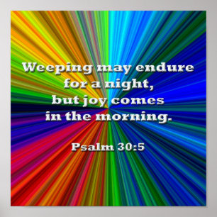 Poster Weeping pode resistir por uma noite…