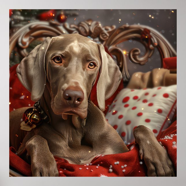 Poster Weimaraner Cão Festivo de Natal (Frente)