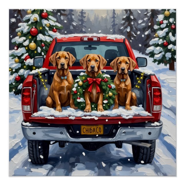Pôster Weimaraner Christmas Red Truck Holiday (Frente)