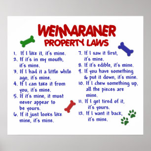 PÔSTER WEIMARANER PL2