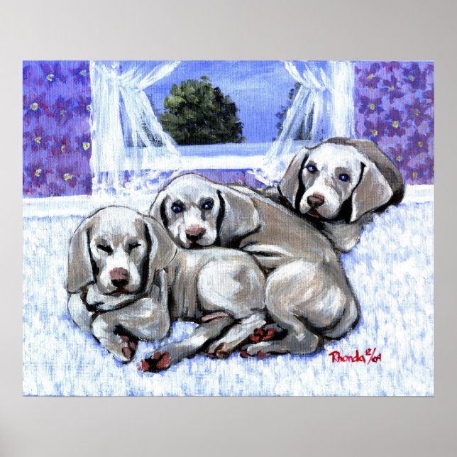 Poster Weimaraner Puppies Cachorro Retrato (Frente)