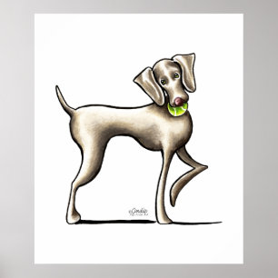 Poster Weimaraner Tênis Pro