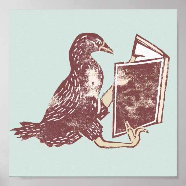 Poster Weka Bird Lendo um livro (Frente)